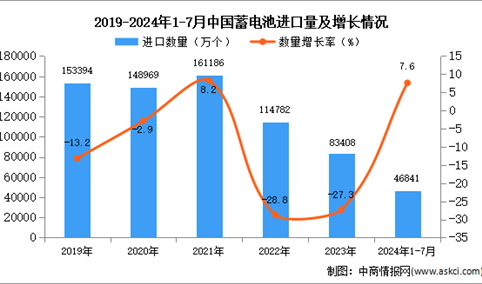 2024年1-7月中国蓄电池进口数据统计分析：进口量46841万个