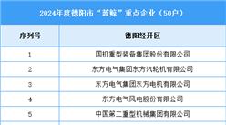 德陽市2024年度重點(diǎn)工業(yè)企業(yè)名單（附榜單）