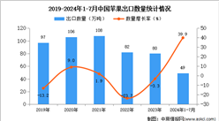 2024年1-7月中国苹果出口数据统计分析：出口量同比增长39.9%