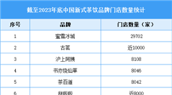 2024年中國新式茶飲市場現狀預測分析：品牌門店數量快速擴張（圖）