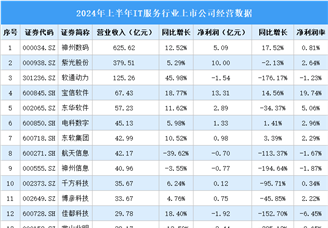 2024年上半年中国IT服务行业上市公司业绩排行榜（附榜单）