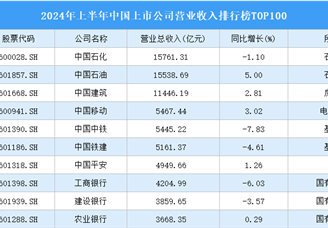 2024年上半年中国上市公司营业收入排行榜TOP100（附榜单）