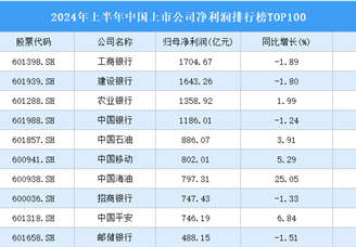 2024年上半年中国上市公司净利润排行榜TOP100（附榜单）