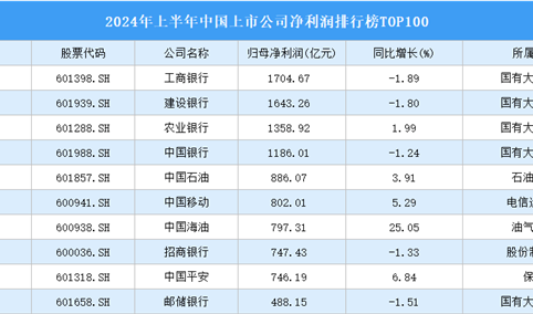 2024年上半年中国上市公司净利润排行榜TOP100（附榜单）