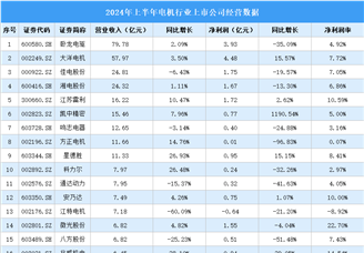 2024年上半年中国电机行业上市公司业绩排行榜（附榜单）