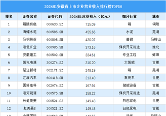 2024年上半年安徽省上市公司营业收入排行榜（附榜单）