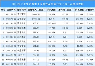 2024年上半年中国消费电子零部件及组装行业上市公司业绩排行榜（附榜单）