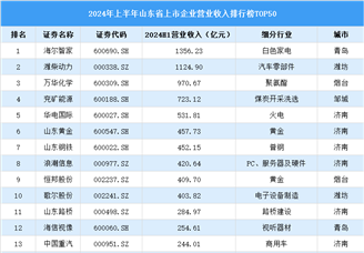 2024年上半年山东省上市公司营业收入排行榜（附榜单）