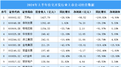 2024年上半年住宅开发行业上市公司业绩排行榜（附榜单）