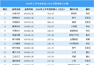 2024年上半年河北省上市公司营业收入排行榜（附榜单）