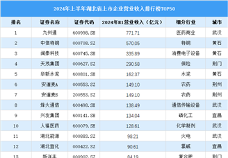 2024年上半年湖北省上市公司营业收入排行榜（附榜单）