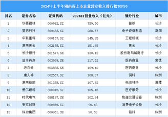 2024年上半年湖南省上市公司营业收入排行榜（附榜单）