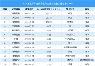 2024年上半年海南省上市公司营业收入排行榜（附榜单）