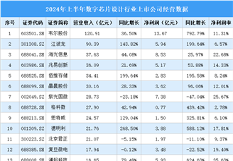 2024年上半年中国数字芯片设计行业上市公司业绩排行榜（附榜单）