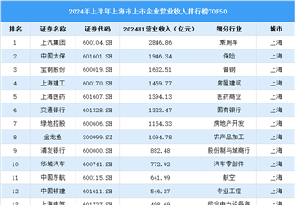 2024年上半年上海市上市公司营业收入排行榜（附榜单）