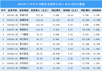 2024年上半年中国车身附件及饰件行业上市公司业绩排行榜（附榜单）