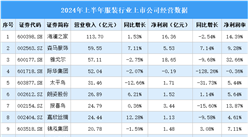 2024年上半年中國(guó)服裝行業(yè)上市公司業(yè)績(jī)排行榜（附榜單）