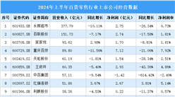 2024年上半年中國(guó)百貨零售行業(yè)上市公司業(yè)績(jī)排行榜（附榜單）