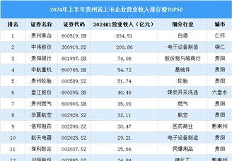 2024年上半年贵州省上市公司营业收入排行榜（附榜单）