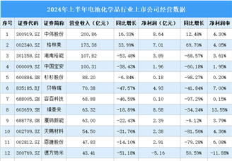 2024年上半年中国电池化学品行业上市公司业绩排行榜（附榜单）