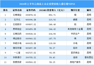 2024年上半年云南省上市公司营业收入排行榜（附榜单）