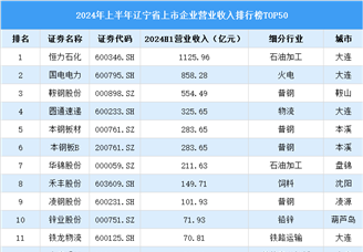 2024年上半年辽宁省上市公司营业收入排行榜（附榜单）