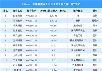 2024年上半年甘肃省上市公司营业收入排行榜（附榜单）