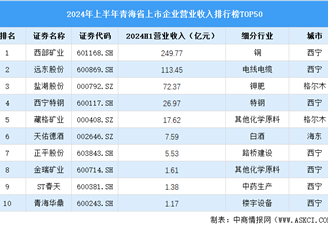 2024年上半年青海省上市公司营业收入排行榜（附榜单）