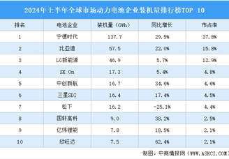 2024年上半年全球市场动力电池企业装机量排行榜TOP10（附榜单）