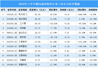 2024年上半年中国横向通用软件行业上市公司业绩排行榜（附榜单）