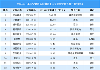 2024年上半年宁夏回族自治区上市公司营业收入排行榜（附榜单）