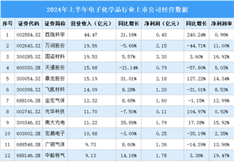 2024年上半年中国电子化学品行业上市公司业绩排行榜（附榜单）