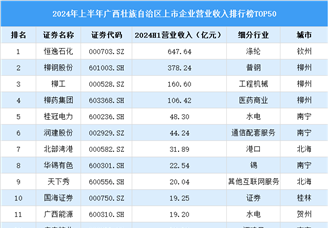 2024年上半年广西壮族自治区上市公司营业收入排行榜（附榜单）