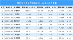 2024年上半年中國鋰電池行業(yè)上市公司業(yè)績排行榜（附榜單）