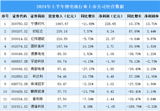 2024年上半年中国锂电池行业上市公司业绩排行榜（附榜单）