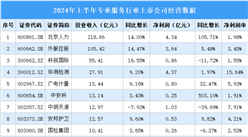 2024年上半年中国专业服务行业上市公司业绩排行榜（附榜单）