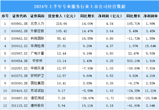 2024年上半年中国专业服务行业上市公司业绩排行榜（附榜单）