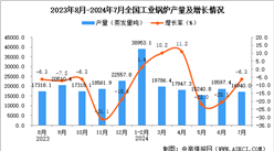 2024年7月全国工业锅炉产量数据统计分析