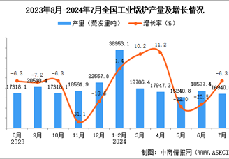 2024年7月全国工业锅炉产量数据统计分析