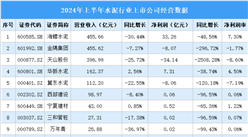 2024年上半年中國(guó)水泥行業(yè)上市公司業(yè)績(jī)排行榜（附榜單）