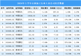 2024年上半年中国石油加工行业上市公司业绩排行榜（附榜单）