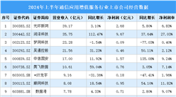 2024年上半年中国通信应用增值服务行业上市公司业绩排行榜（附榜单）