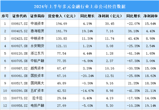 2024年上半年中国多元金融行业上市公司业绩排行榜（附榜单）