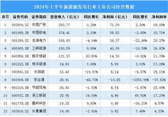 2024年上半年中国新能源发电行业上市公司业绩排行榜（附榜单）