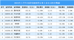 2024年上半年中國光伏電池組件行業(yè)上市公司業(yè)績排行榜（附榜單）