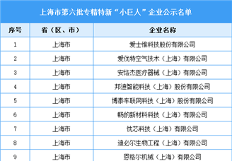 上海市第六批专精特新“小巨人”企业名单（图）