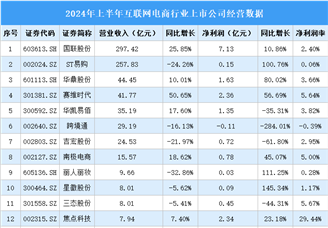 2024年上半年中國互聯(lián)網(wǎng)電商行業(yè)上市公司業(yè)績排行榜（附榜單）