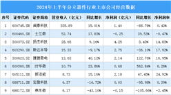 2024年上半年中國(guó)分立器件行業(yè)上市公司業(yè)績(jī)排行榜（附榜單）