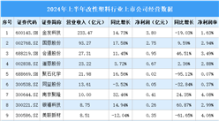 2024年上半年中國(guó)改性塑料行業(yè)上市公司業(yè)績(jī)排行榜（附榜單）
