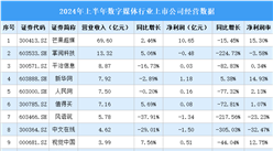 2024年上半年中國數(shù)字媒體行業(yè)上市公司業(yè)績排行榜（附榜單）